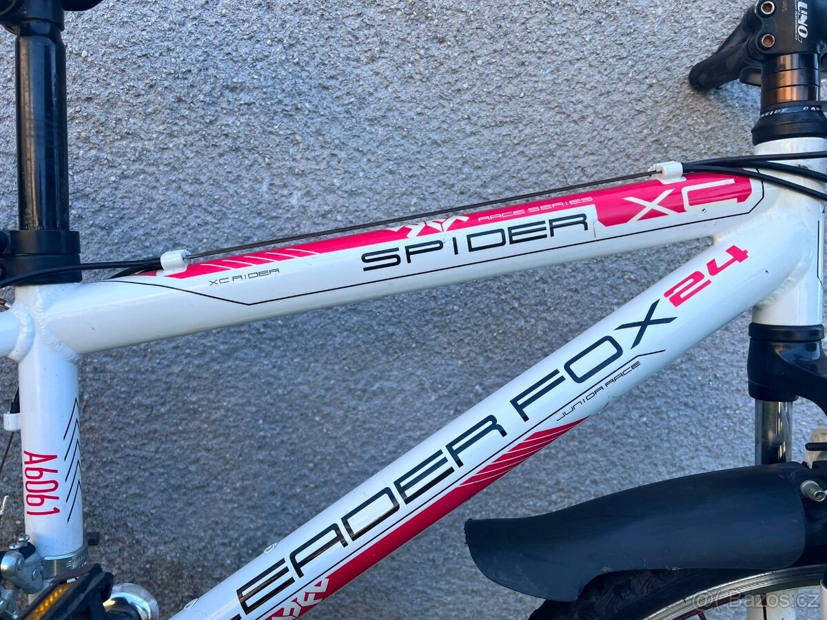 Leader Fox Spider - 5
