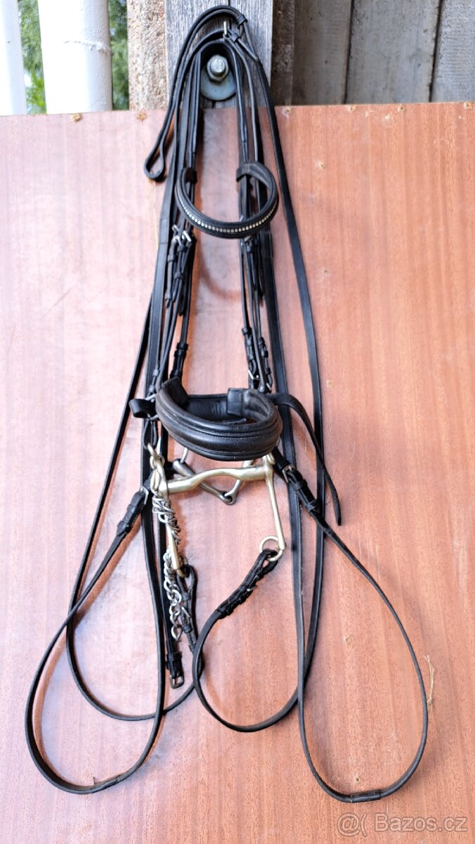 Drezurní uzda + páka a stihlo - 5