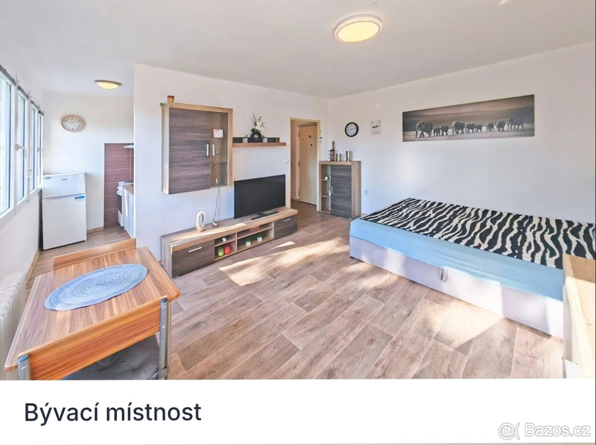 Prodám byt 1kk v osobním vlastnictví - 5