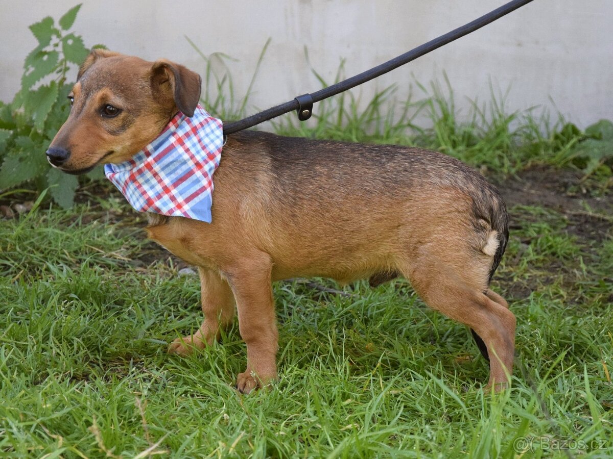 Jeremy hledá domov - 5