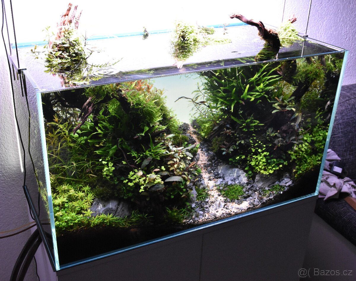 Realizace akvárií na míru – Přírodní, rostlinná i Malawi - 5