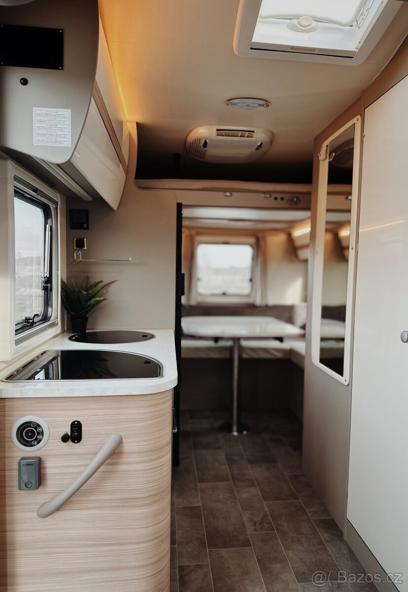 Ahorn Canada Tu- plus - 5