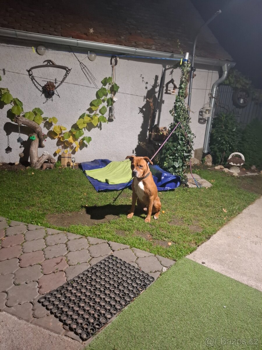 Daruji do dobrých rukou - 5