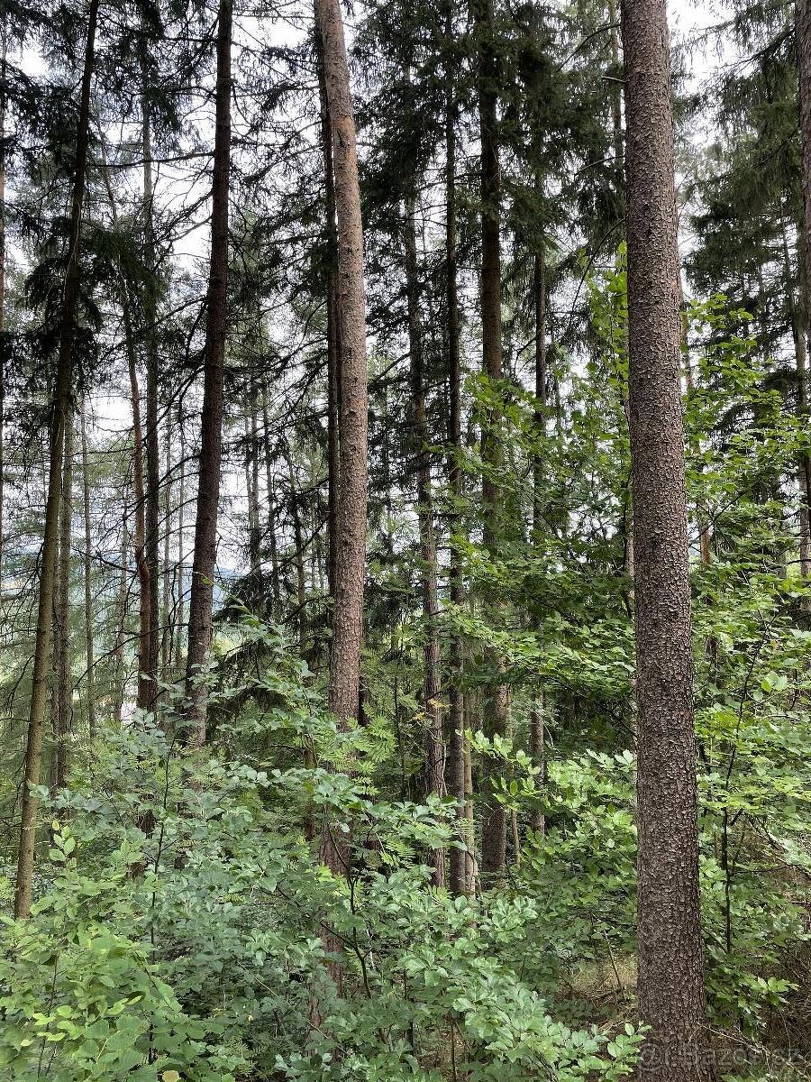 Prodám pozemky v k.ú. Dolní Bohdíkov - 5