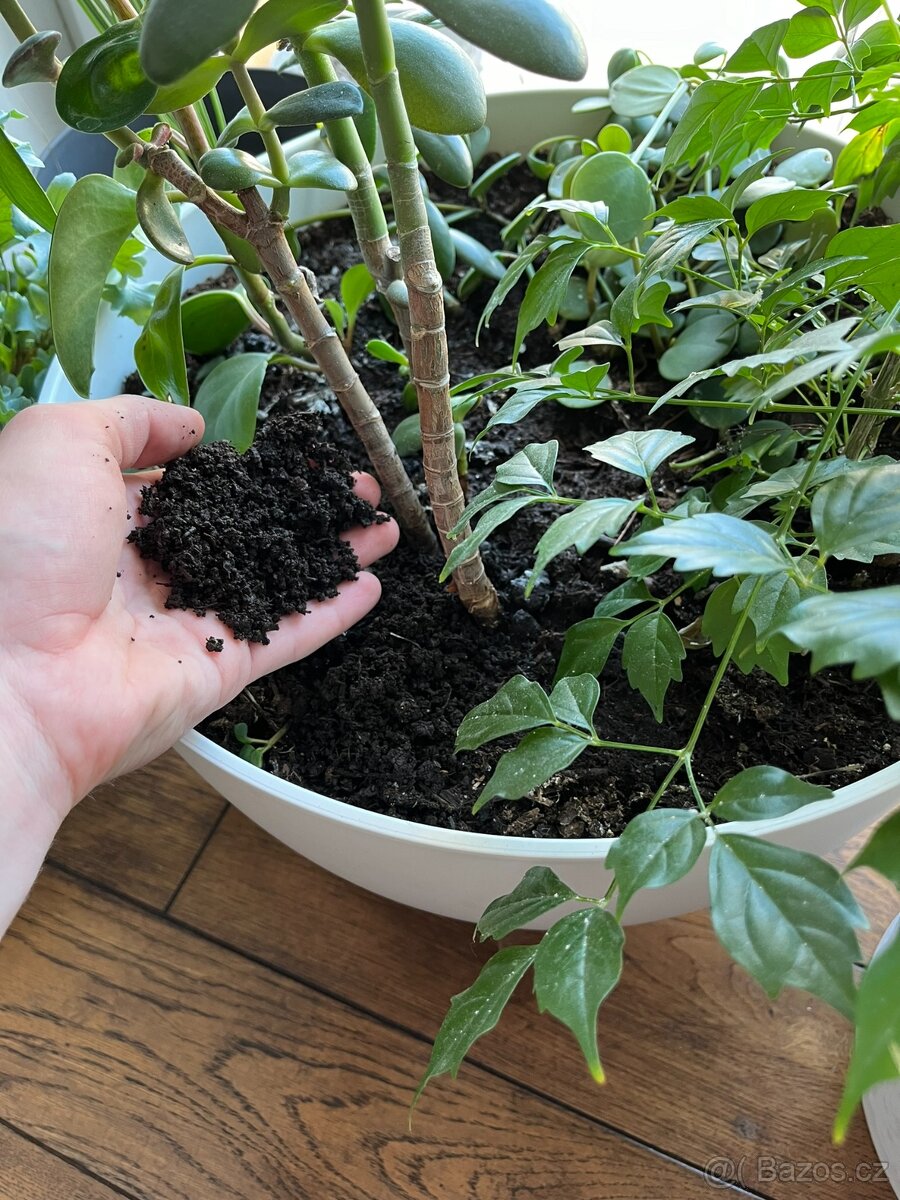 Vermikompost - 5L - 5