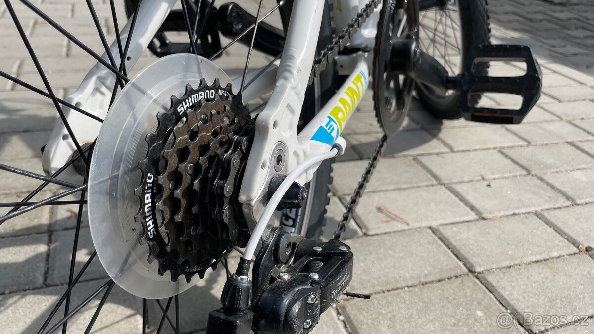 Superior Paint 20 - 5