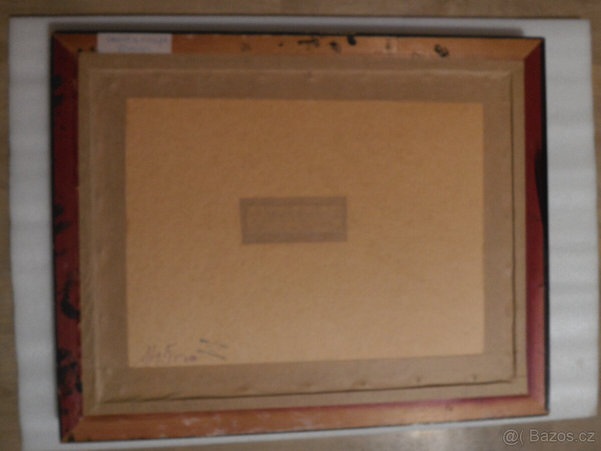 Obraz Samota u lesa - 5