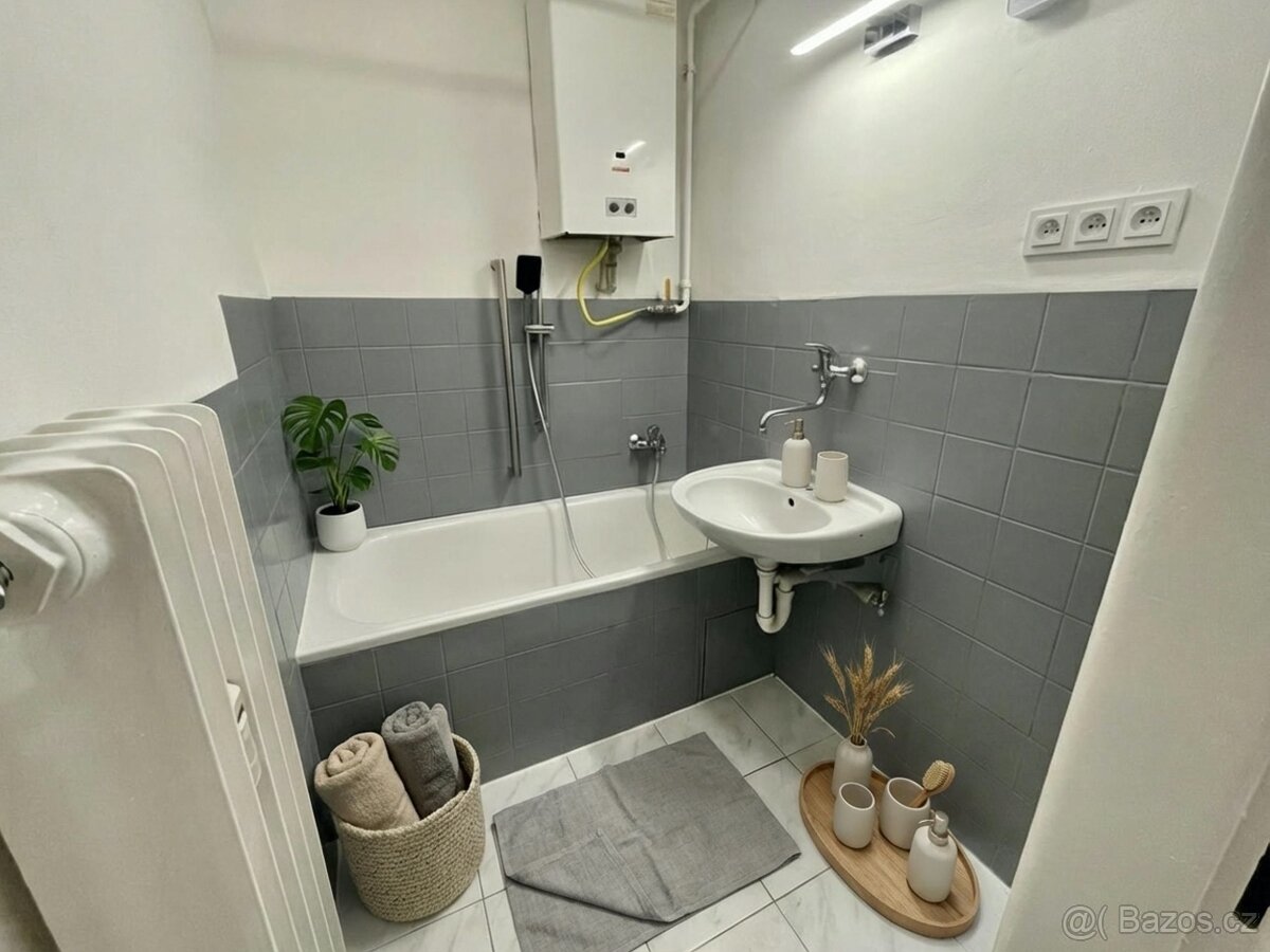 Prostorný a prosluněný byt 4+1 - 5