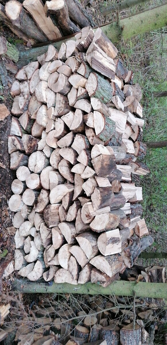 Palivové dřevo - 5