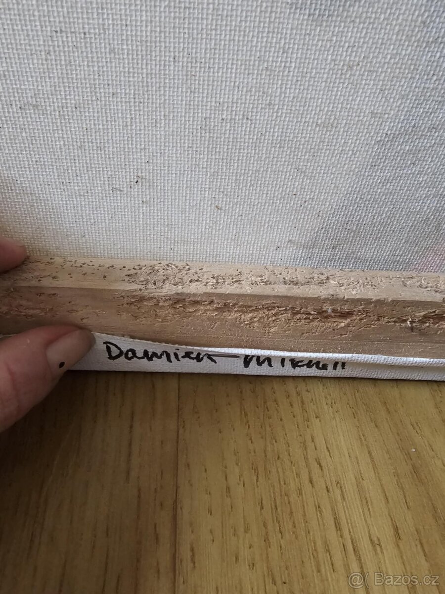 Originální obraz od streetartisty Damiena Mitchella - 5