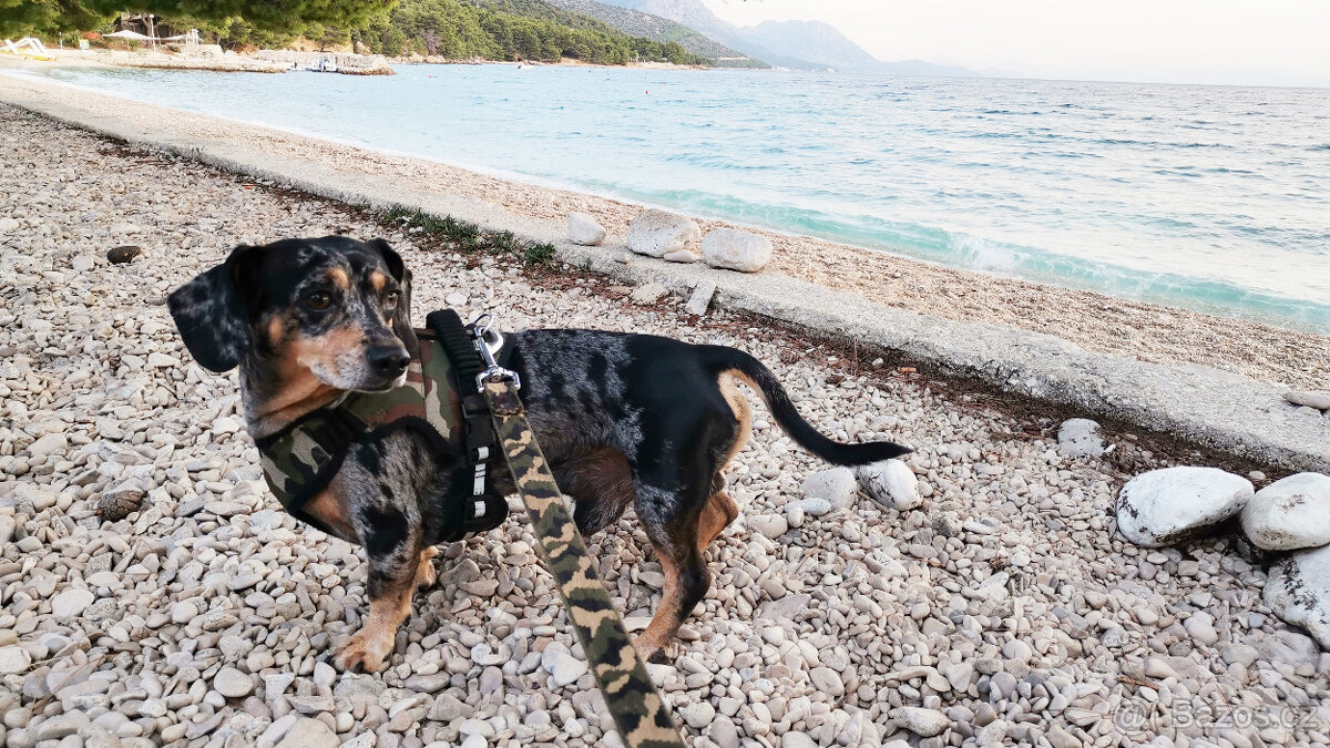 Hledám nevěstu - 5