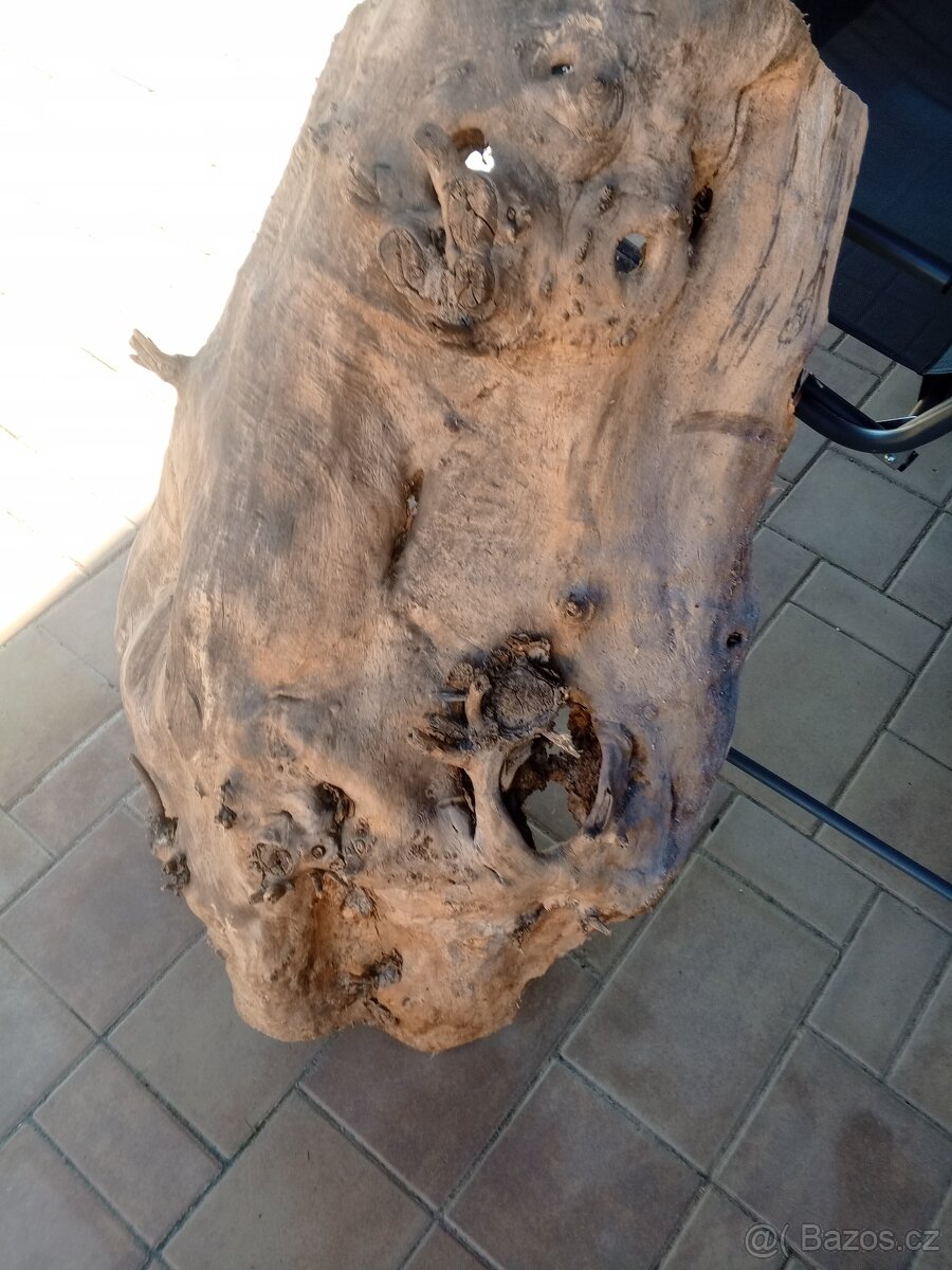 Topolové skořepiny - 5