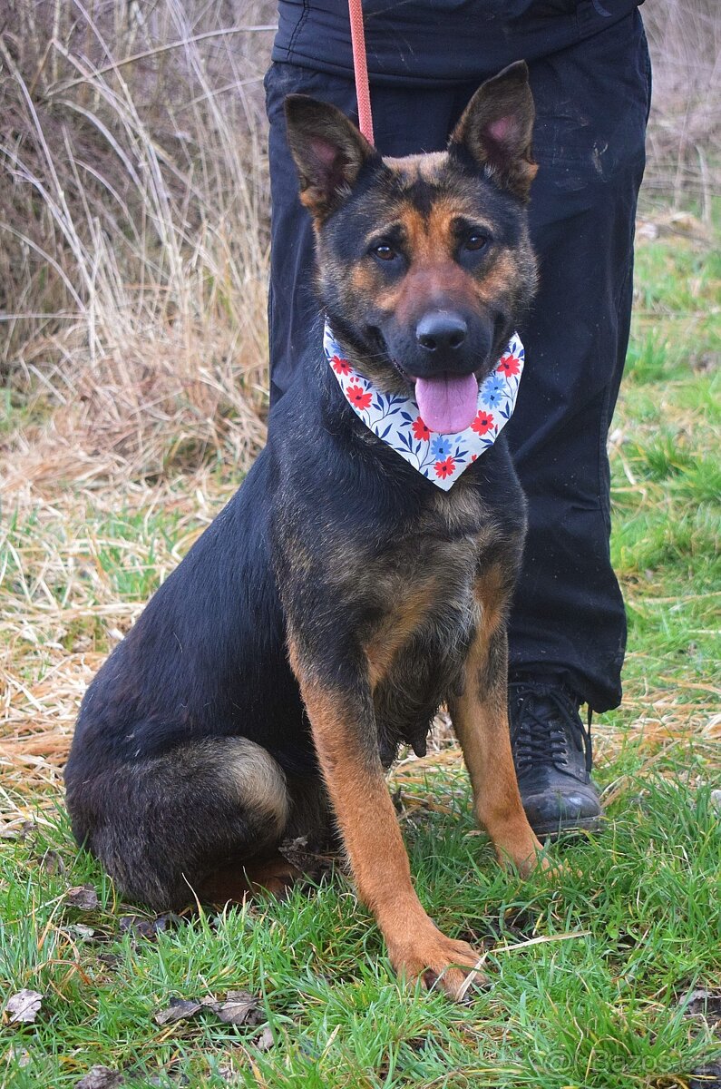 Frederika – hledá milující domov - 5