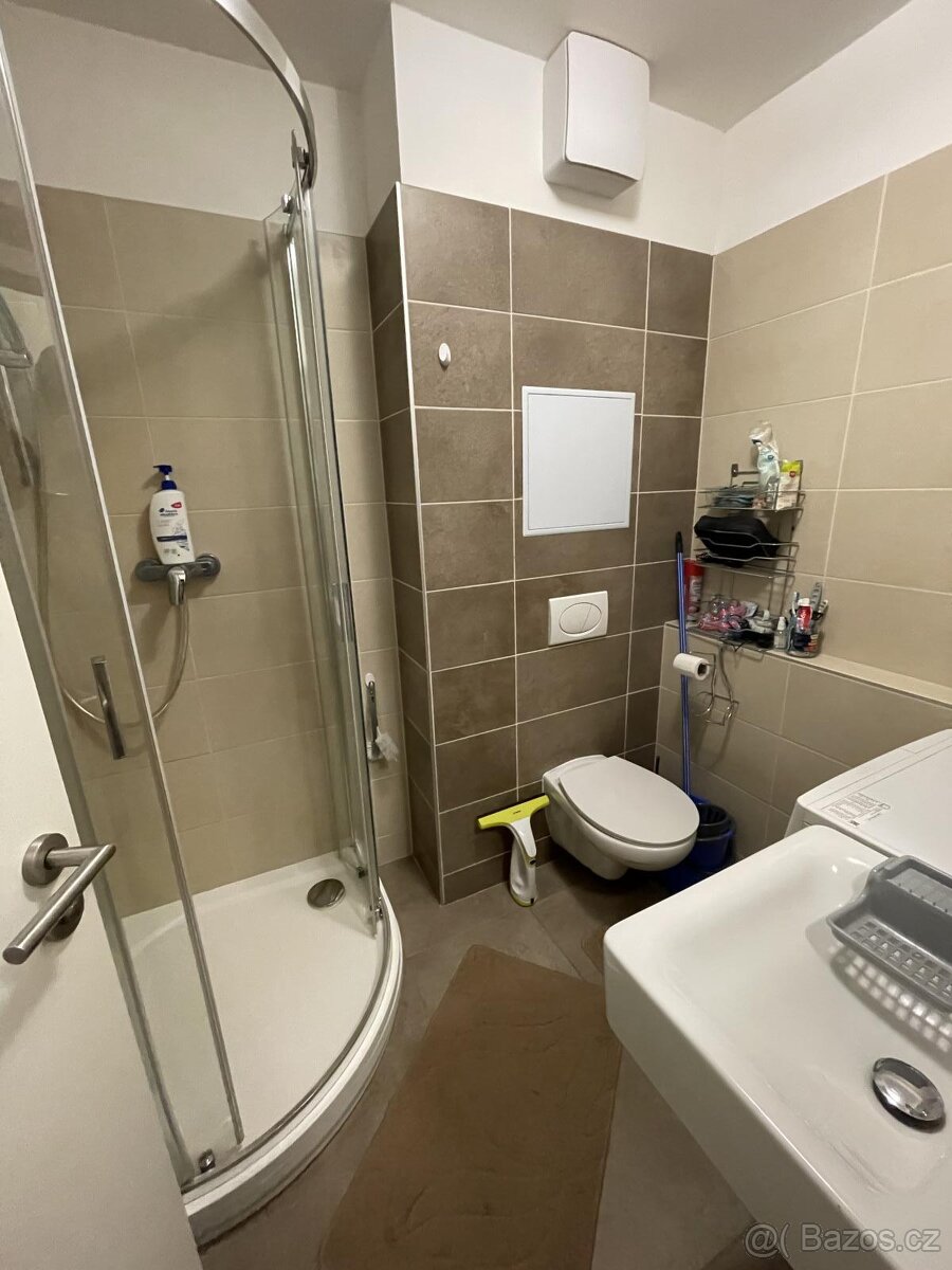 pronájem bytu 1+kk - 5