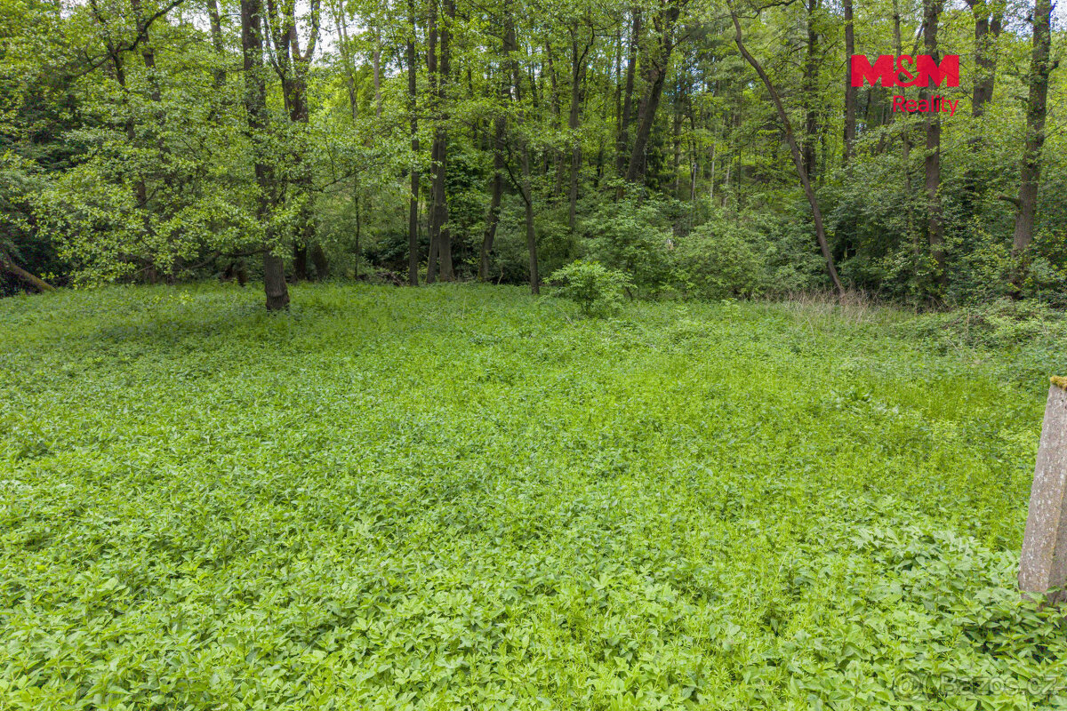 Prodej lesa, 491 m², Bohouňovice I - 5