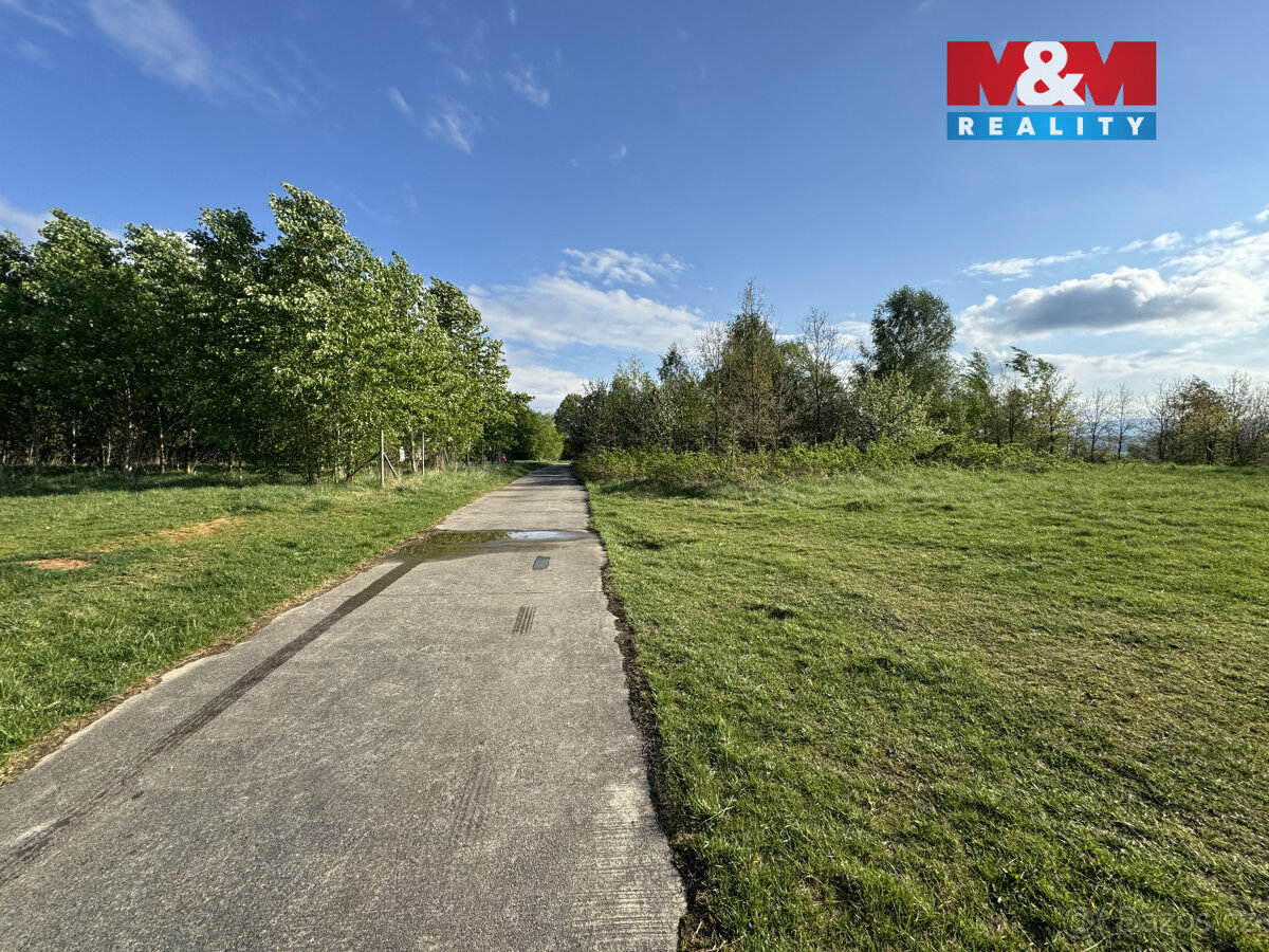 Prodej komerčního pozemku, 10254 m², Homole - 5