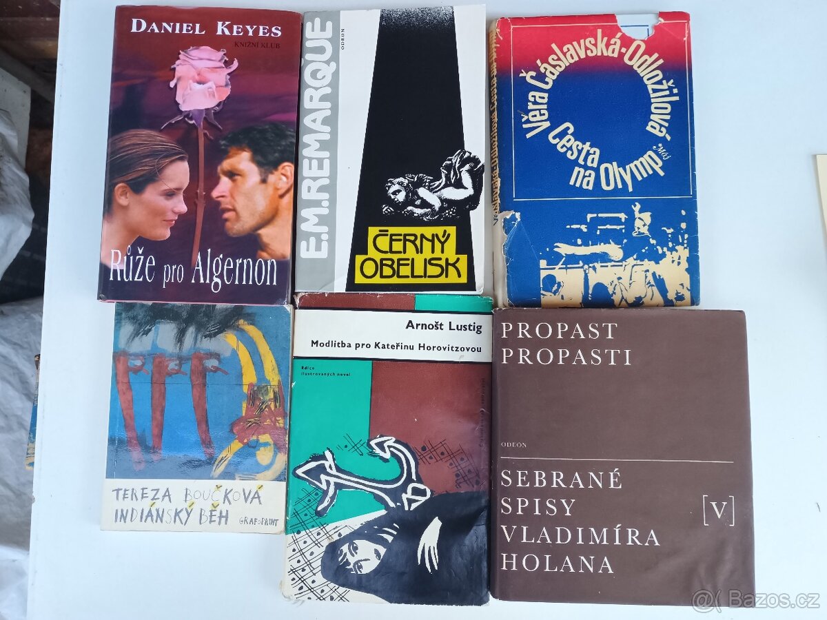 Knihy různých žánrů - 5