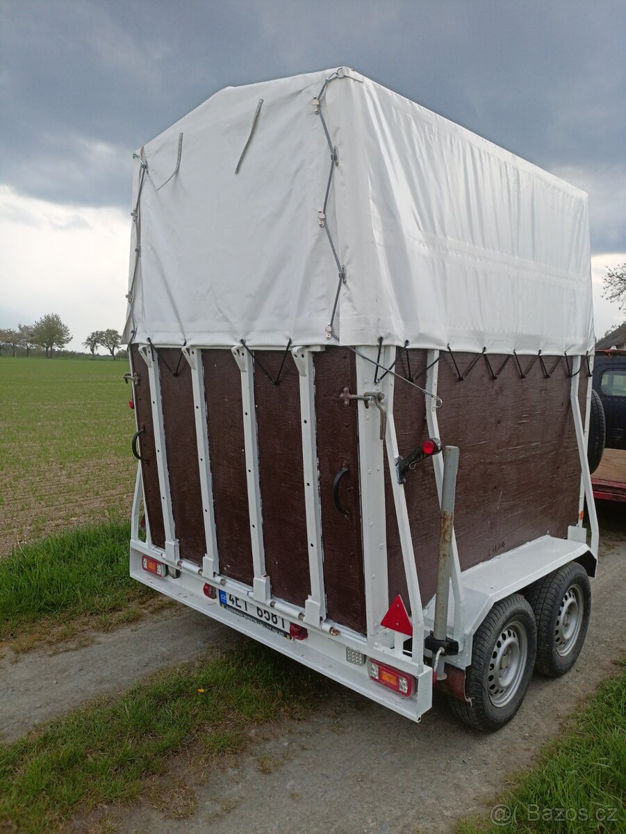 Pronájem přepravníku, přeprava zvířat , auto přepravník., - 5