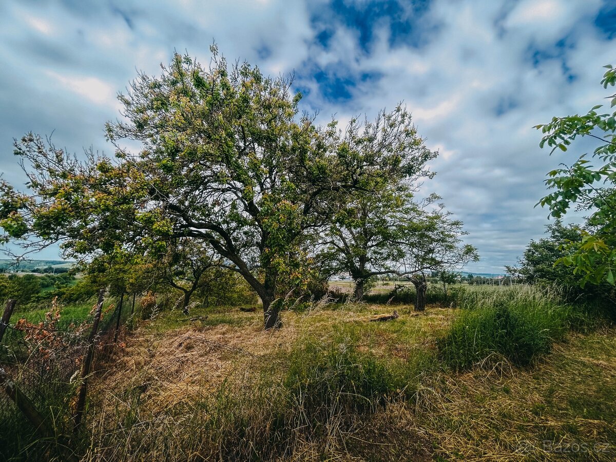 Zahrada Kyjov Sliny, plocha 1049m - 5