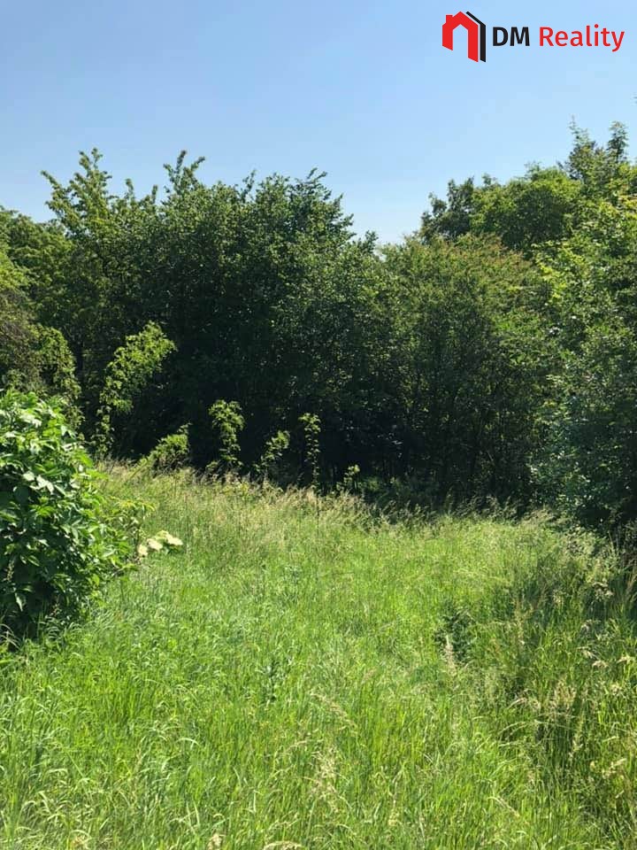 Prodej zahrady 5231 m2, Dalovice - 5