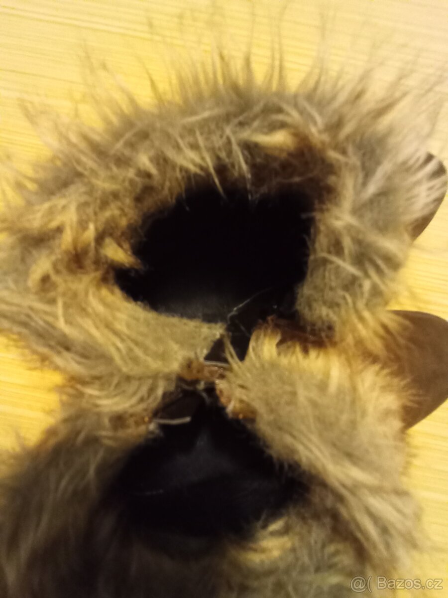 Hnědé semišové boty, velikost 37 - 5