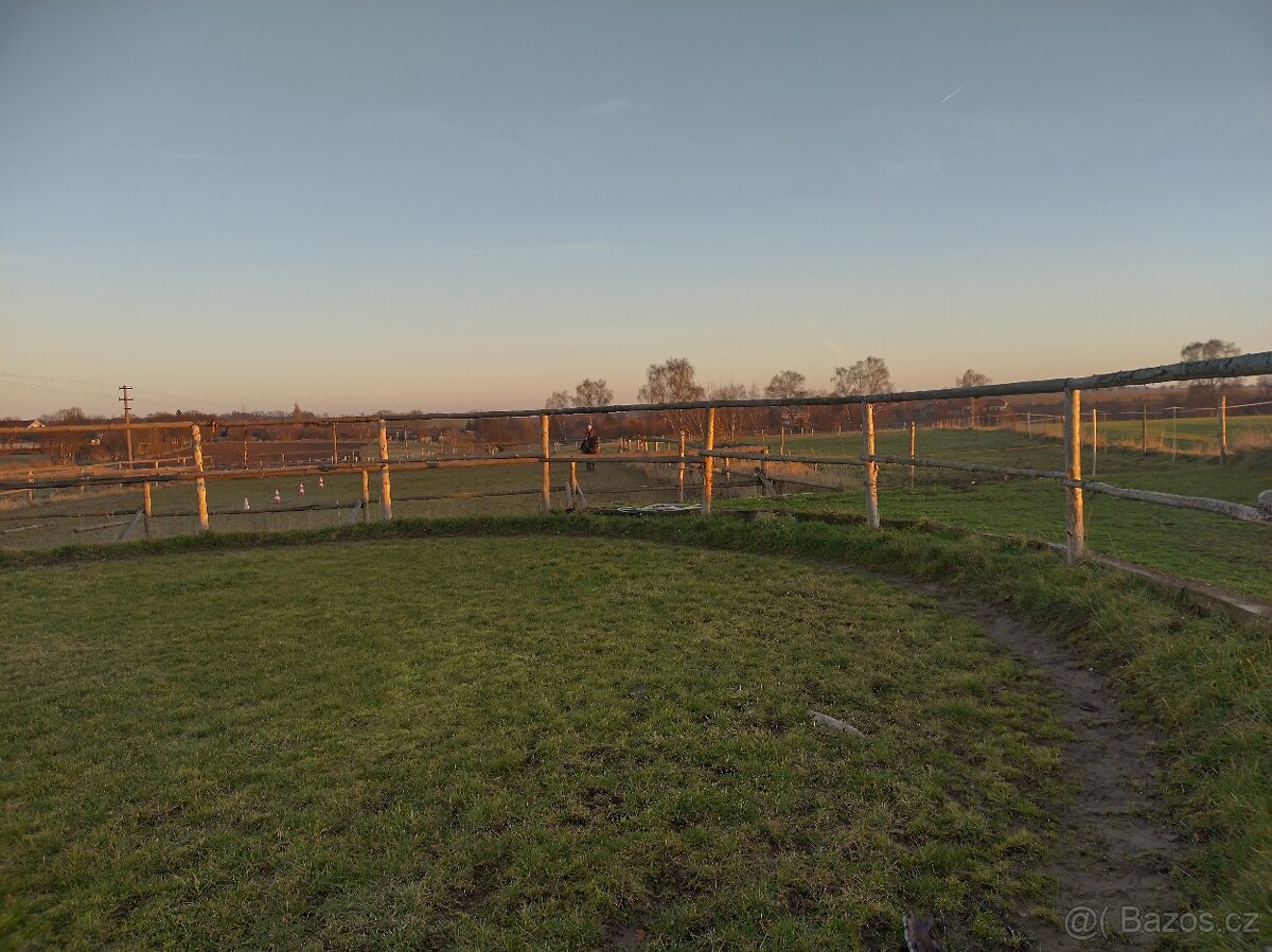 Ustájení koní - 5