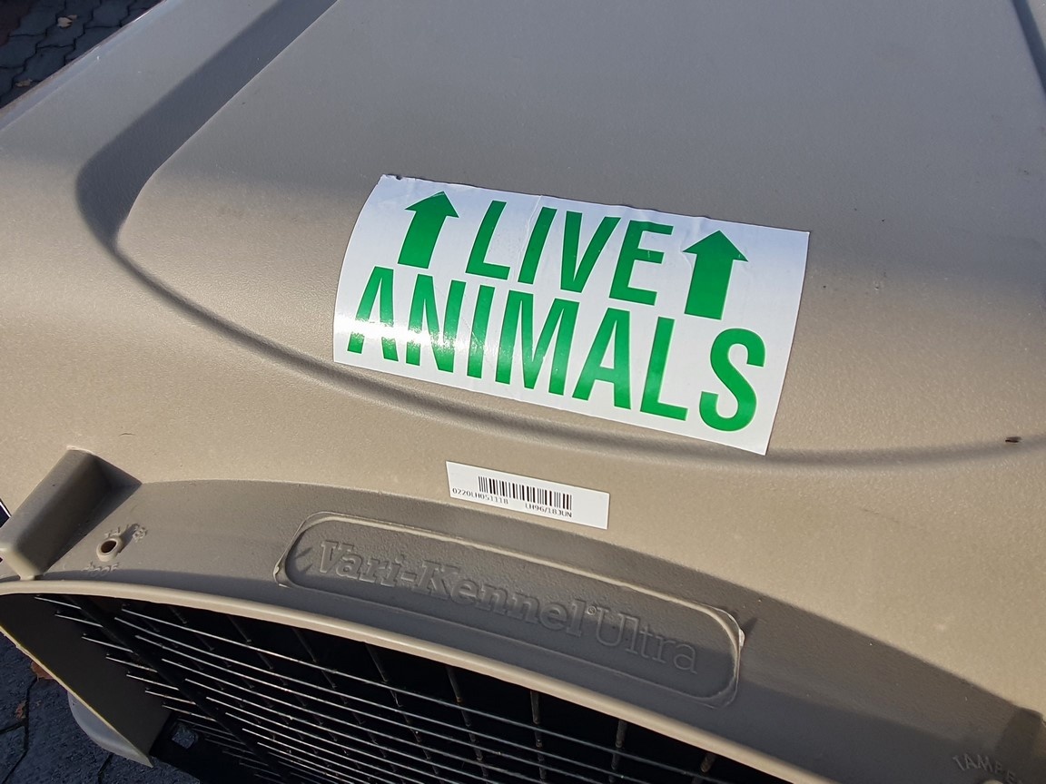 VELKÝ LETECKÝ přepravní box přepravka pro psa - 5