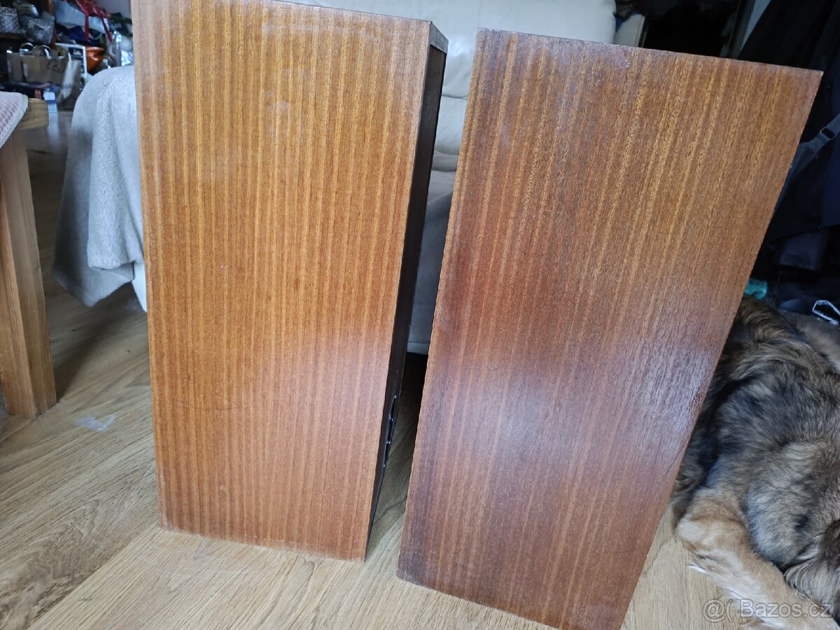 Repra Tesla ARS 1058 HiFi -30 cm bass - 5