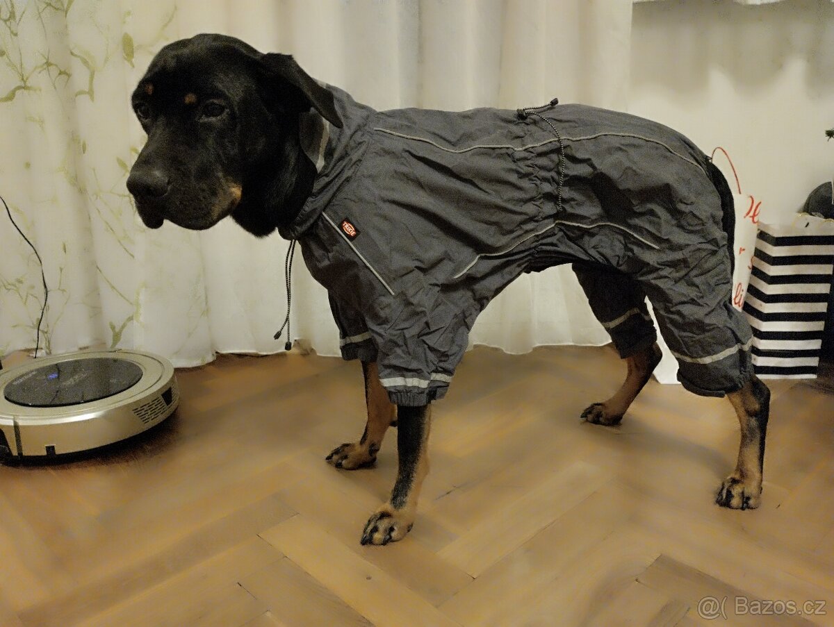 Obleček pro psa - 5