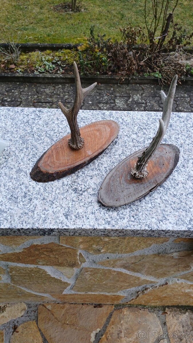 Parohy a parůžky - 5