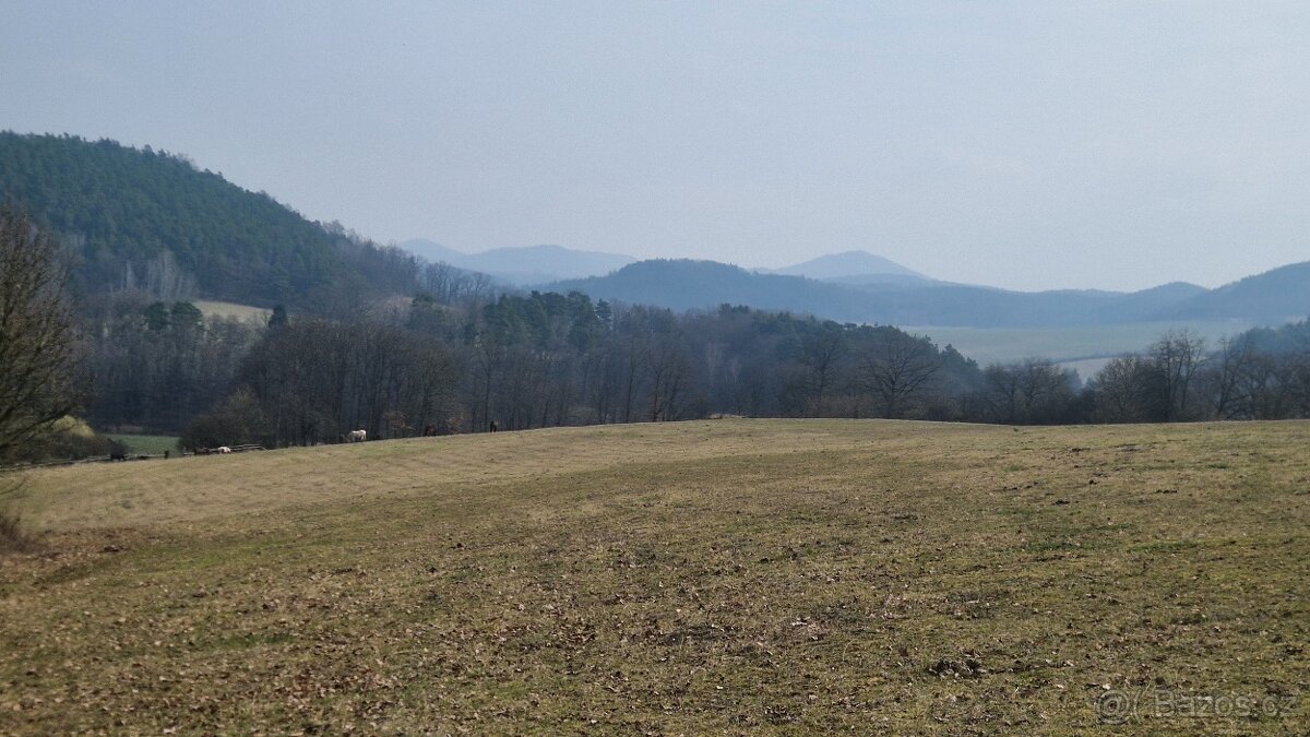 Nabízím ustájení - 5