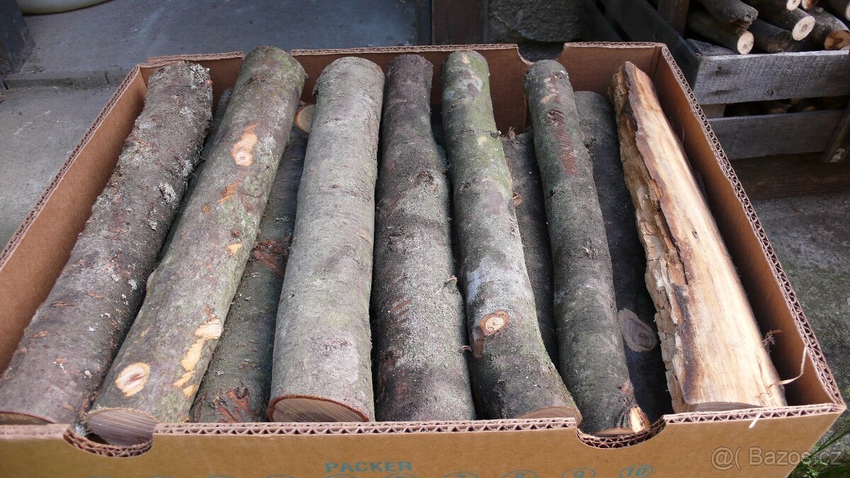 Krbova polena a zátopové dřevo - 5