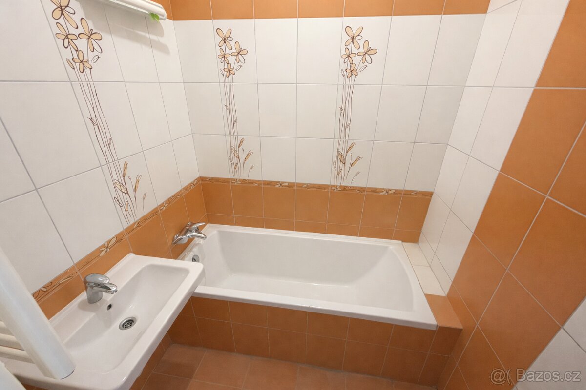 Prodej bytu 1+1, 33m², ul. U Střelnice, Opava - 5