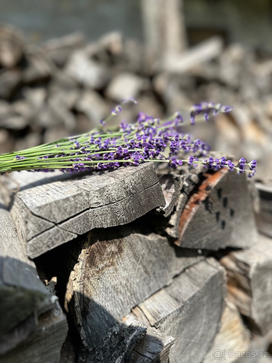 Pozemek se stavbami na okraji vesnice - 5
