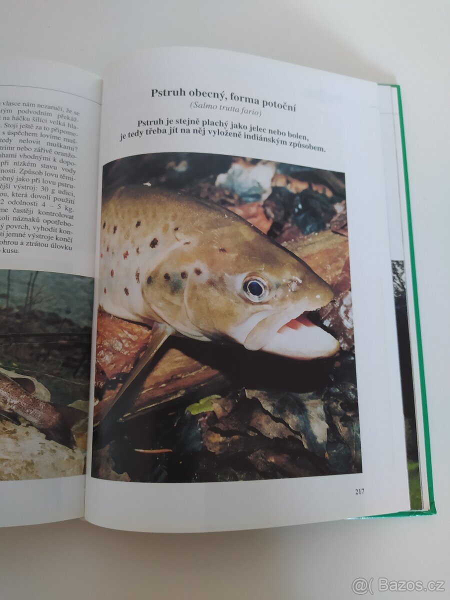 Rybářství - Lov dravých ryb - Jacek Kolendovicz - 5