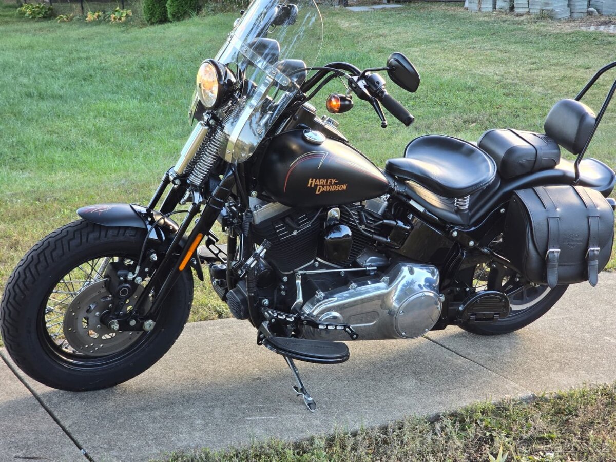 Harley-Davidson FLSTSB Softail Cross Bones 2008 - 5