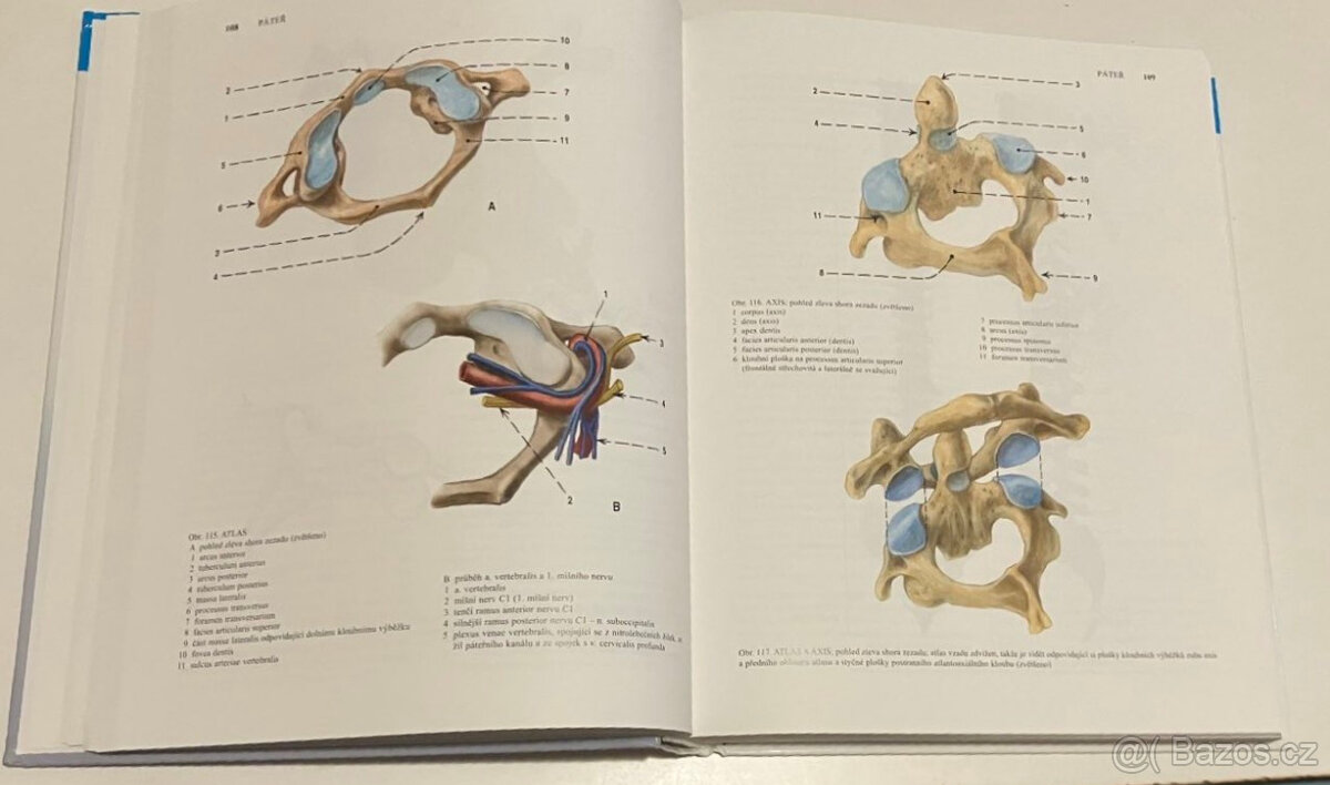 Anatomie 1 - 5