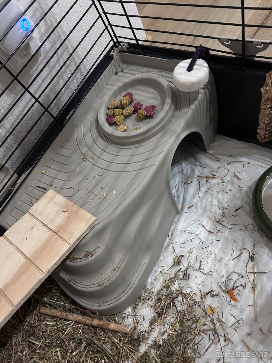 Morčata – kluci - 5