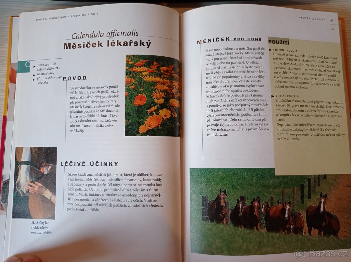 Přírodní léčba koní - Cornelia Witteková - 5