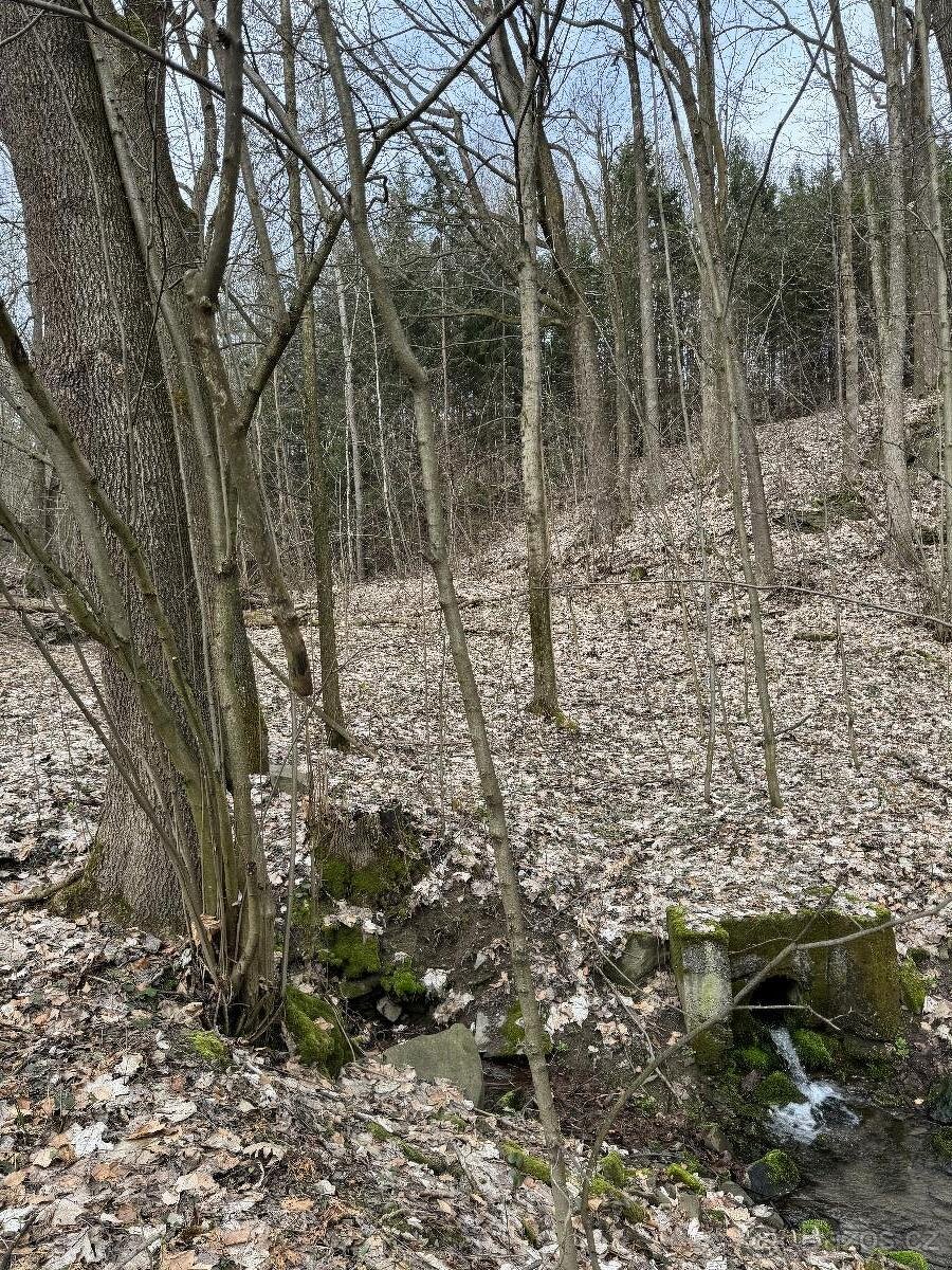 Prodáme pozemky v k.ú. Spálov - 5