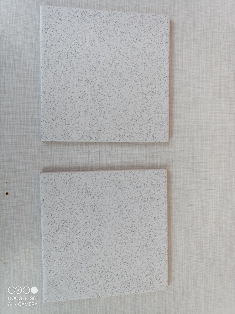 rako dlažba 24 m2 - 5