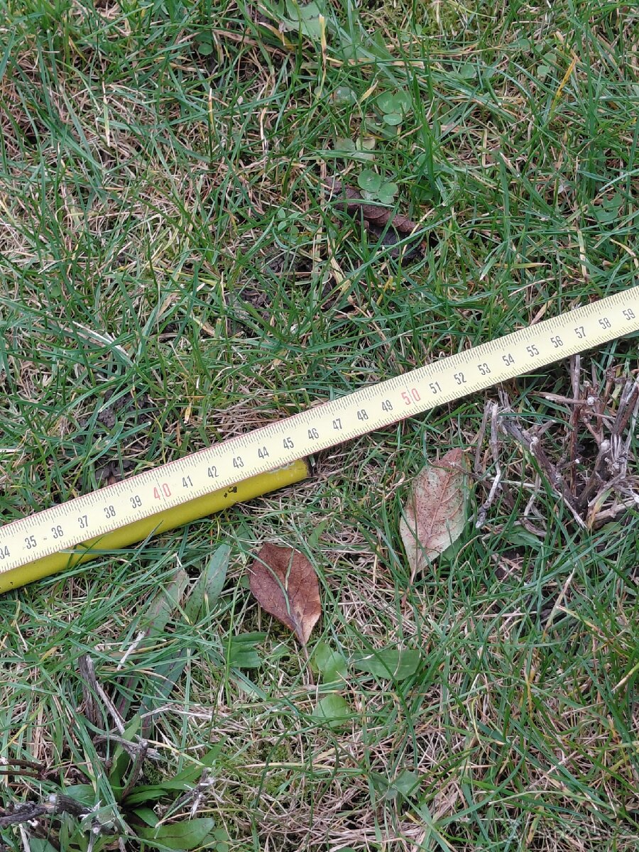 Řídítka Razor IHC - 5