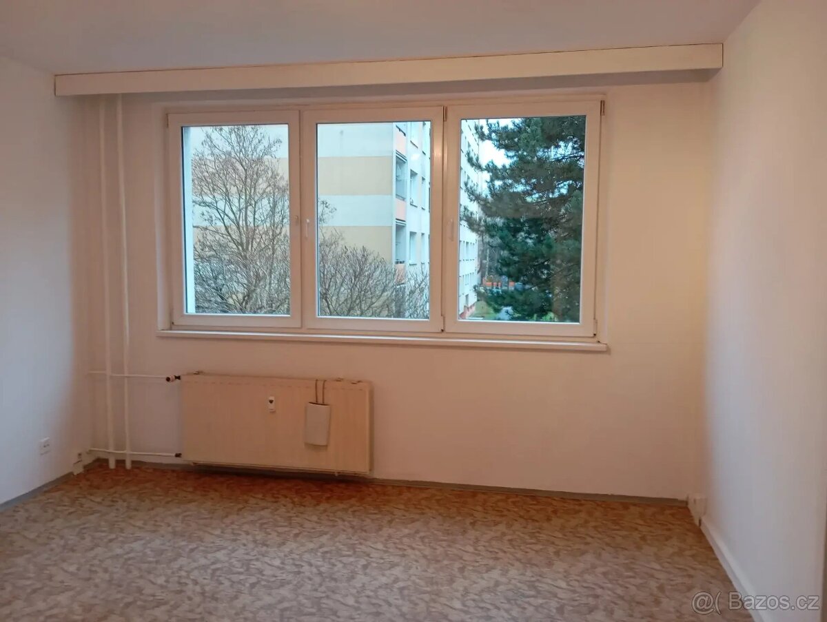 Pronájem bytu 2+1 42 m² - 5