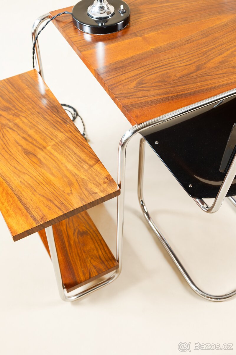 PSACÍ STŮL-FUNKCIONALISMUS - 5