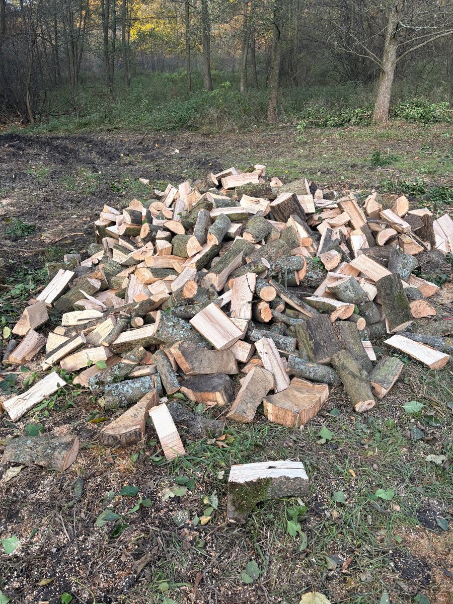 Palivové Dřevo Jasan - 5