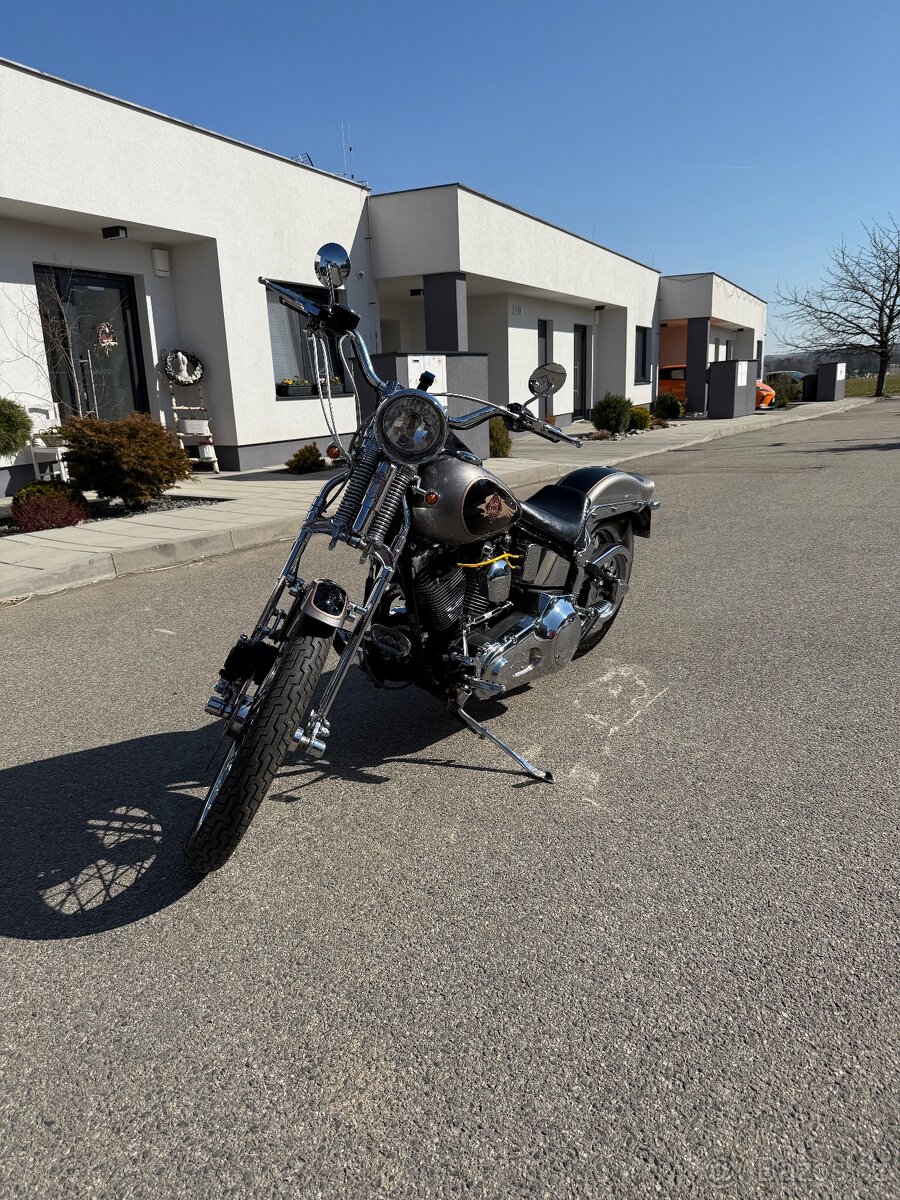 Harley Davidson springer Evolution 1340 - 5