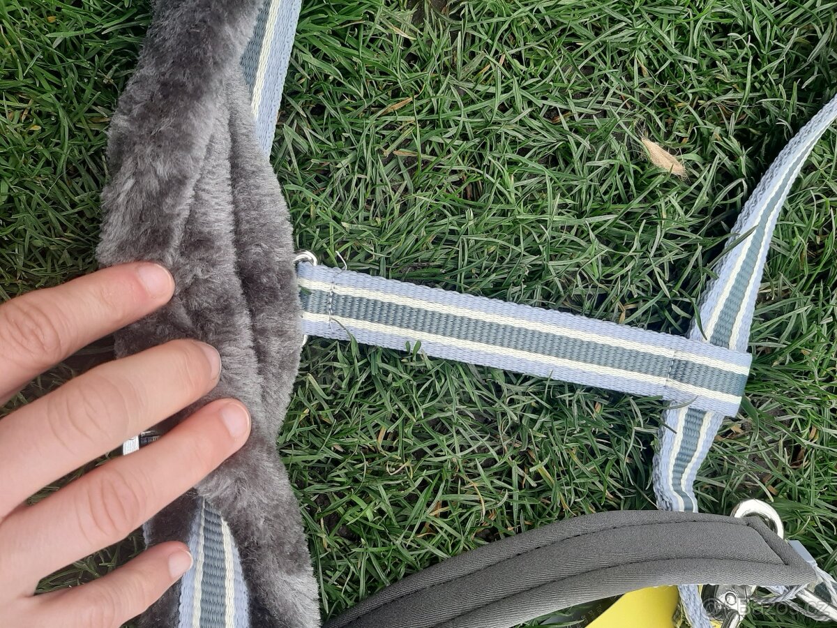 Ohlavka Felix Bühler X Full - 5