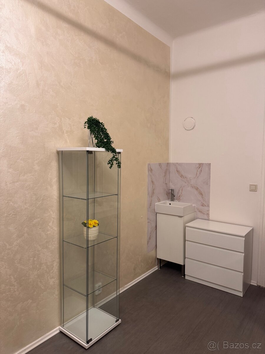 Pronájem místnosti Praha 2 - 5