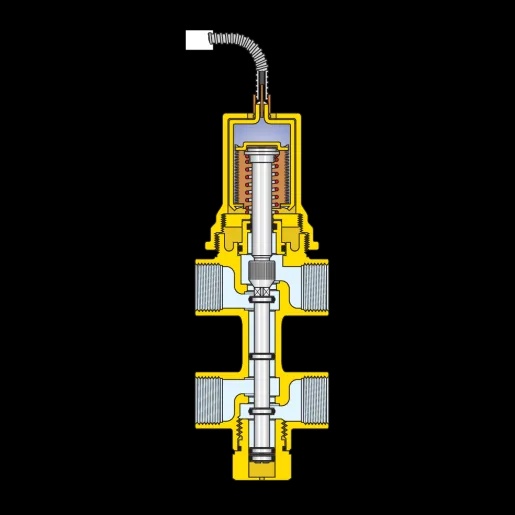 TEPLOTNÍ POJIŠŤOVACÍ VENTIL 1/2" - 5