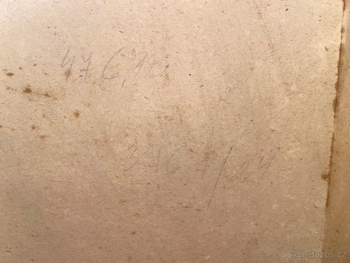 Krásný malovaný obraz - 5